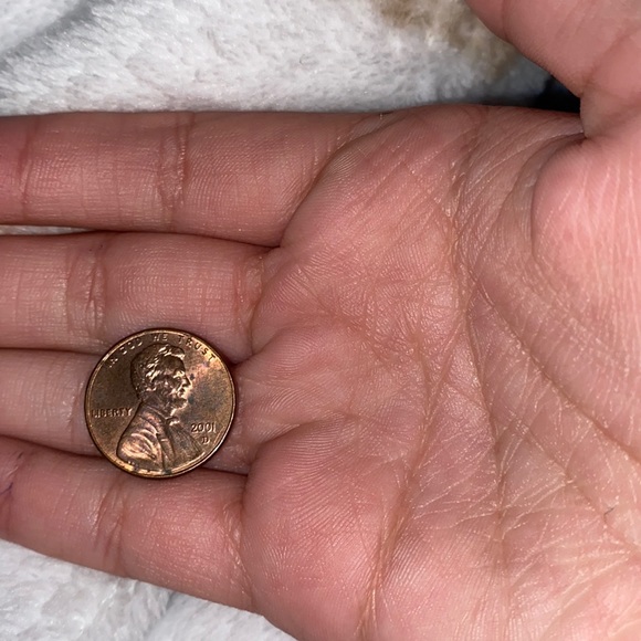 2001 penny - Picture 1 of 1